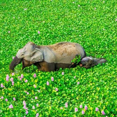 24 atemberaubende Tierfotos zeigen die Schönheit und Vielfalt der Natur