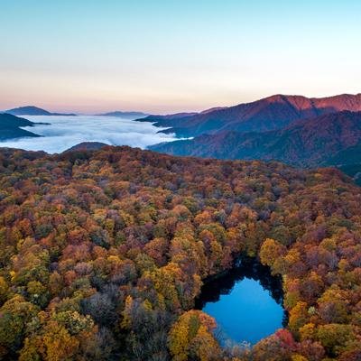 Herbstlandschaften von oben – Ein Farbenspiel der Extraklasse