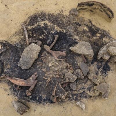 5.000 Jahre alter Opferschacht im Harz entdeckt