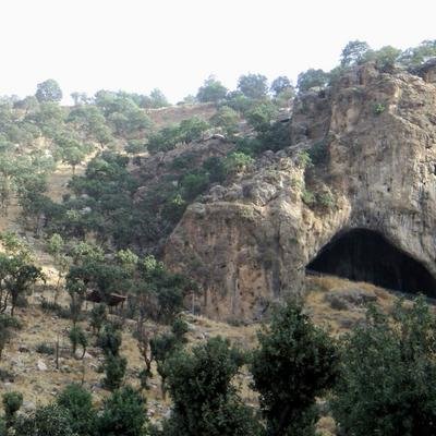 Ernährung in der Steinzeit: Neandertaler kochten nach Rezept