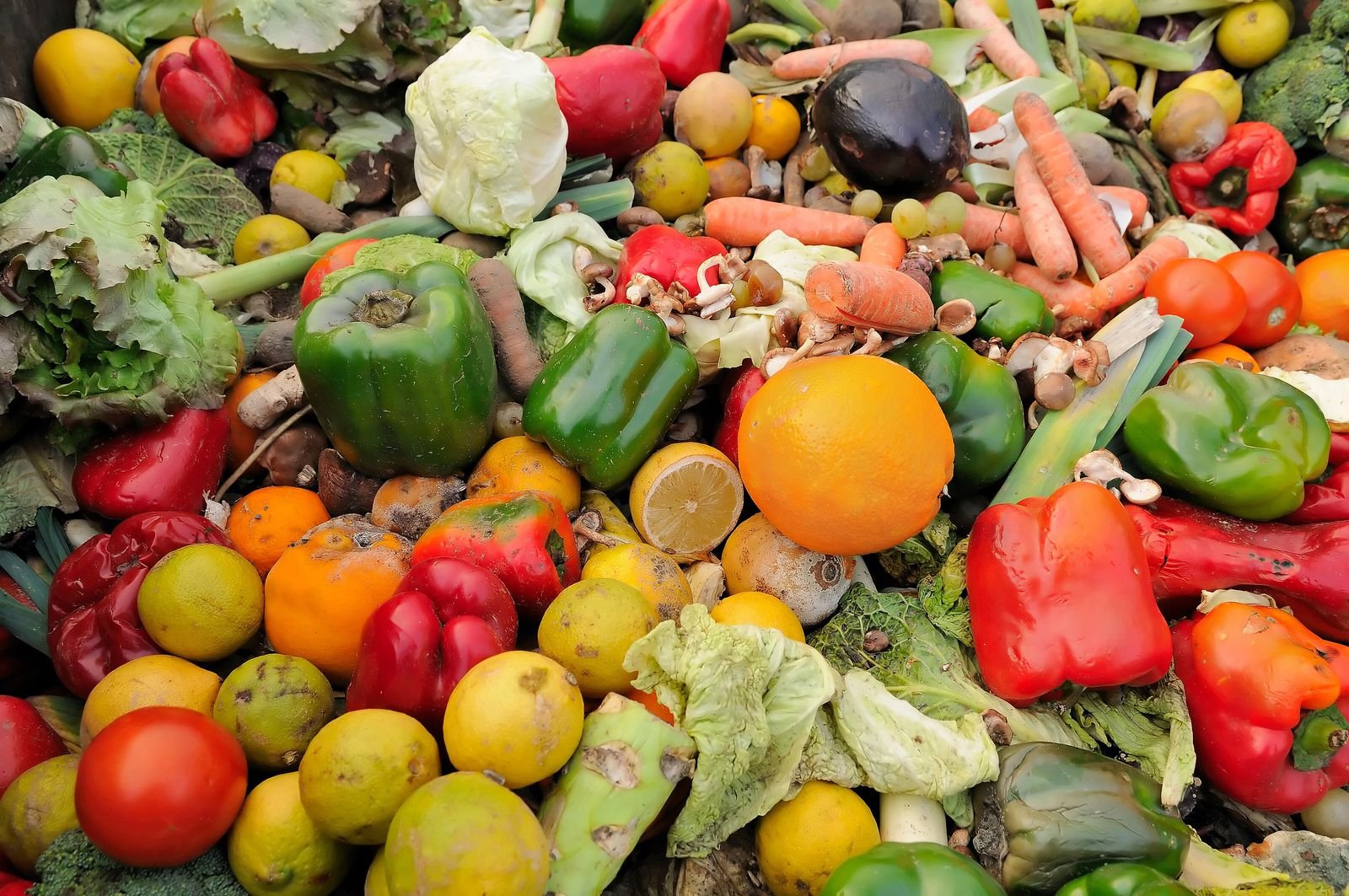 Teller statt Tonne: Wie wir weniger Lebensmittel verschwenden