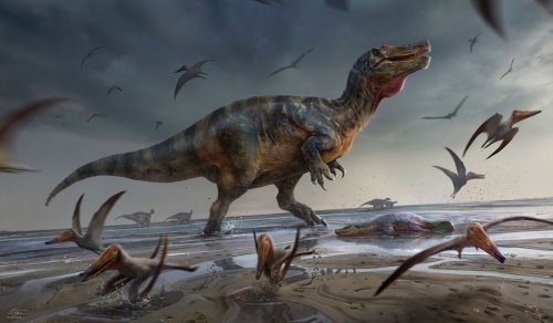 Spektakulärer Fossil-Fund: Größter Raubsaurier Europas entdeckt?