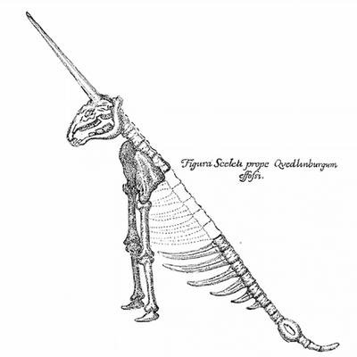 Das Guericke-Einhorn: Das kurioseste Einhorn der Wissenschaft