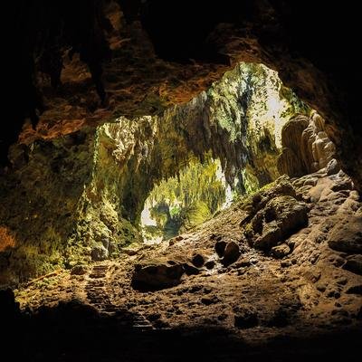 Forscher entdecken neue Menschenart auf den Philippinen