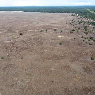 Hitze, Dürre, Klimawandel: Wird Brandenburg zur Wüste?