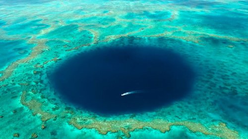 COMMENT SAUVER LES RÉCIFS DE CORAIL ?