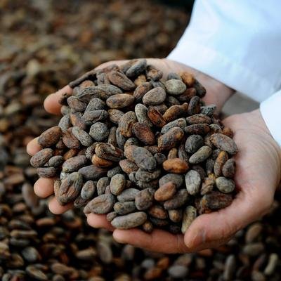 Où trouver le meilleur chocolat au monde ?