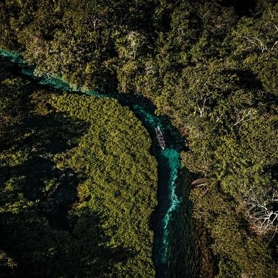 Brésil : le Cerrado, un paradis en sursis