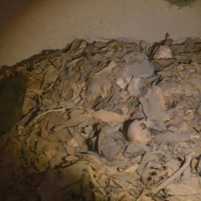 Ouverture spectaculaire d'une chambre funéraire pleine de momies