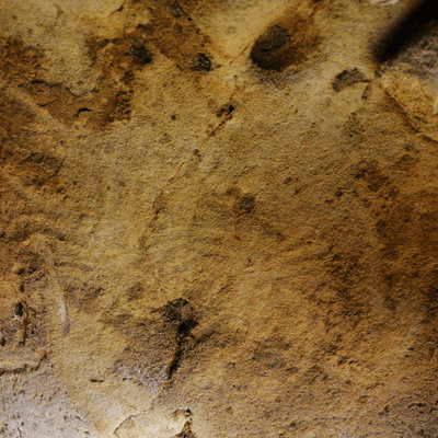 Néandertal réalisait les premières gravures pariétales il y a plus de 57 000 ans