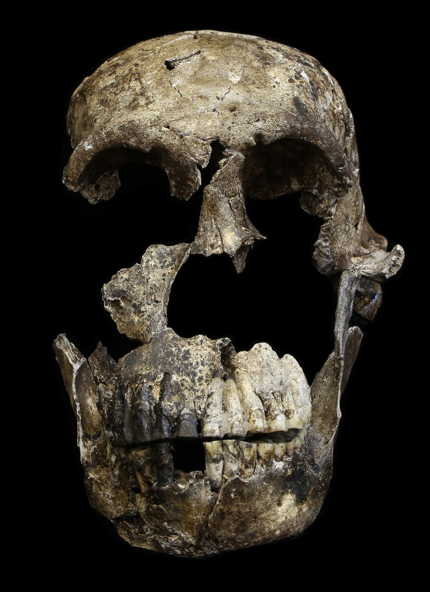Les plus anciennes preuves de la présence humaine dans le bassin du Congo enfin datées