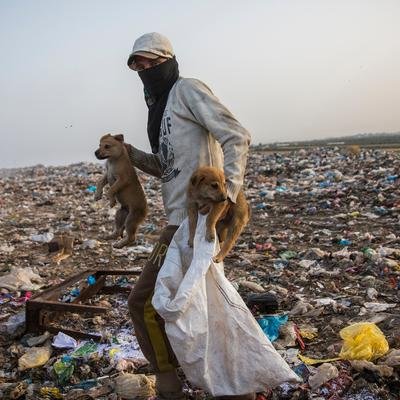 Environnement cover image