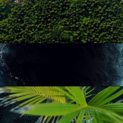 Vidéo : Les origines de la vie sur Terre