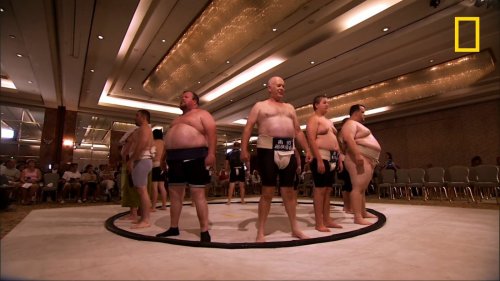 À quoi ressemble le championnat de sumo amateur aux États-Unis?