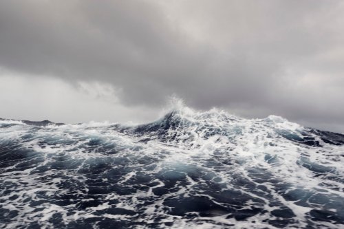 Ces deux hommes ont survécu en pleine mer pendant 29 jours