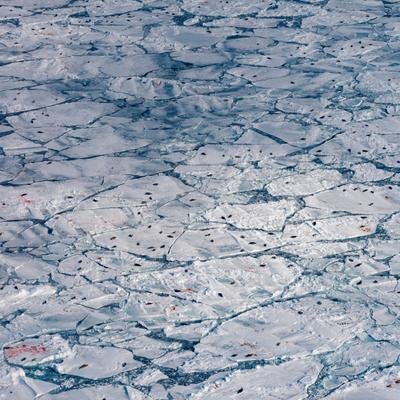 Climat : quelles sont les conséquences concrètes d'un réchauffement de +1,5°C ?