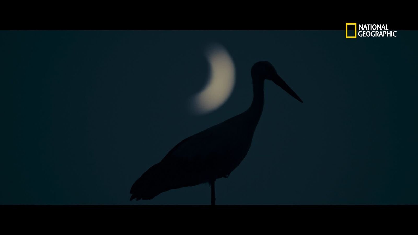 Connaissez-vous la légende de Sylian ?