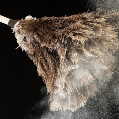 Découverte : il y a aussi des polluants éternels dans notre poussière
