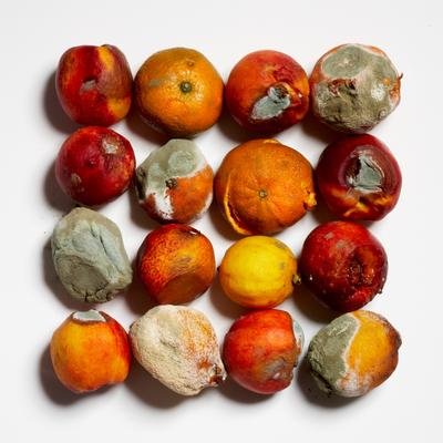 Que faire lorsque de la moisissure apparaît sur vos aliments ?