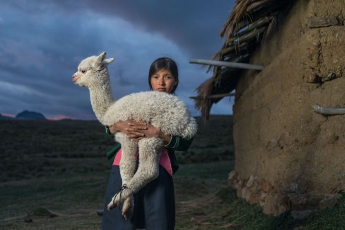 Pourquoi le peuple Chimú sacrifiait-il ses enfants et ses lamas ?