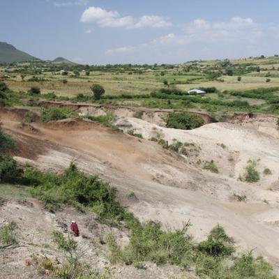 Ces outils vieux de 3 millions d’années n’auraient pas été fabriqués par nos ancêtres