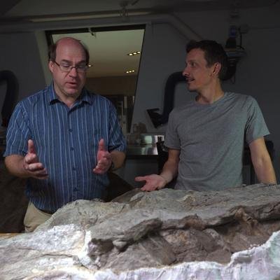 Ce fossile d'edmontosaure est une petite révolution pour les paléontologues