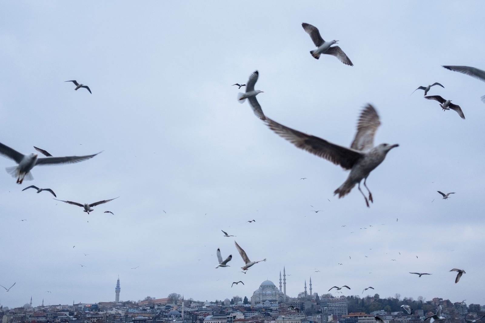 « Fantomatique et mélancolique » : Istanbul en quarantaine