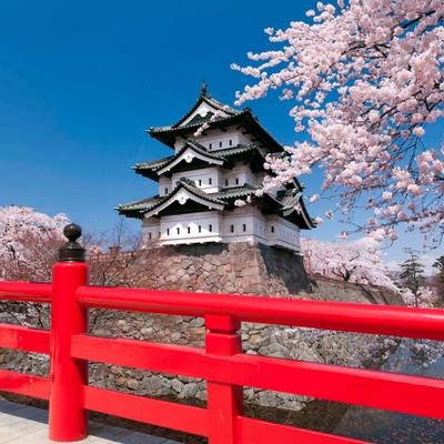 Japão: tudo o que você deve saber antes de visitar o país