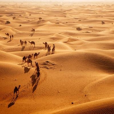 Dia da Terra: sabia que o vasto deserto da Arábia Saudita já foi um paraíso verde (e provavelmente o Saara também)?