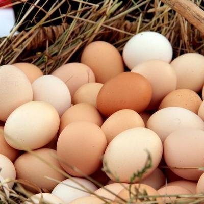 Os 4 benefícios do ovo para a saúde: ele é considerado “o alimento completo”