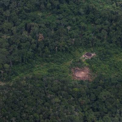 O que é a Terra Indígena Yanomami