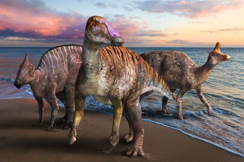 Conheça os dez dinossauros mais fabulosos descobertos em 2021