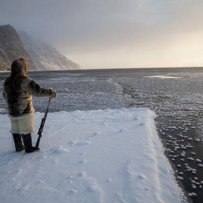El hielo del Ártico se derrite cada vez más y la vida marina sufre