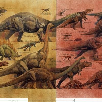Cuál fue el primer dinosaurio en ser descrito en el mundo