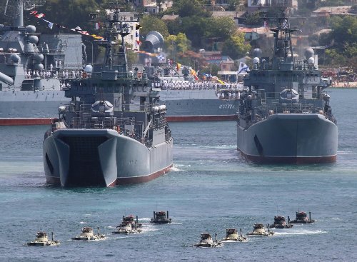 Forget Submarines: The Russian Navy Deploys Combat Seals and Dolphins