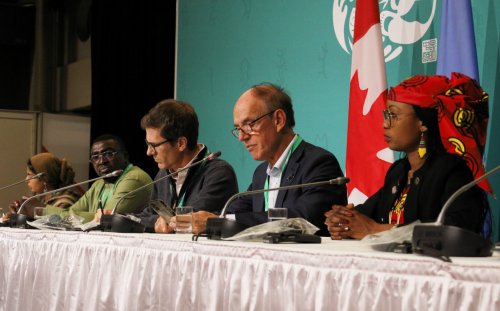 ‘We do not have time’: Civil society groups worry COP15 negotiations moving too slow