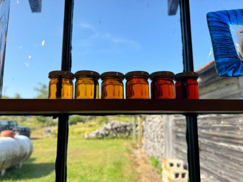 For Nova Scotians, local maple syrup is a disappearing pleasure