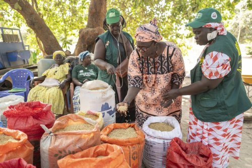 West African project helps women claim their rights - and farmland