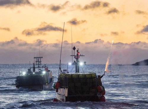Canada joins global pact to stop illegal fishing trade, plans more inspections