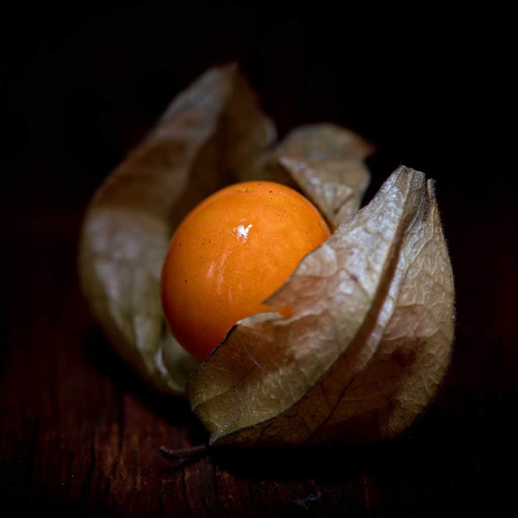 Physalis, cape gooseberry - benefits galore, but not for pregnant women