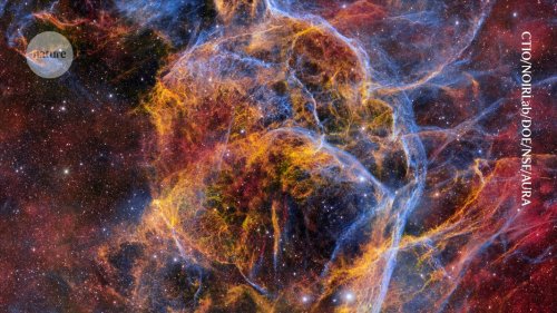 The corpse of an exploded star and more — March’s best science images