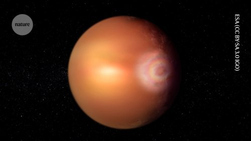 An exoplanet is wrapped in glory