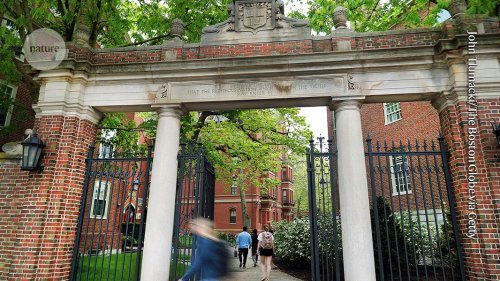 Harvard researchers devastated as Trump team cuts nearly 1,000 grants