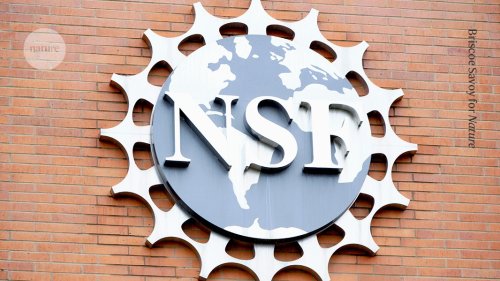 Entire NSF science advisory board fired by Trump administration | Flipboard