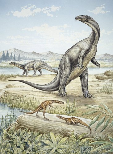 Did a million years of rain jump-start dinosaur evolution?
