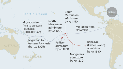 Native South Americans were early inhabitants of Polynesia