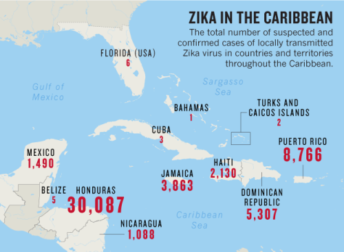 Mosquito guns and heavy fines: how Cuba kept Zika at bay for so long