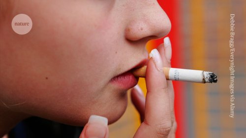 Smoking bans are coming: what does the evidence say?