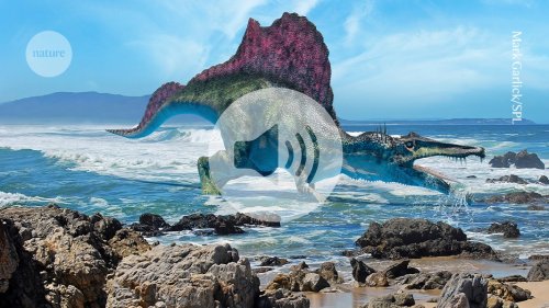 Briefing chat: Spinosaurs with salt glands could have lived in marine environments