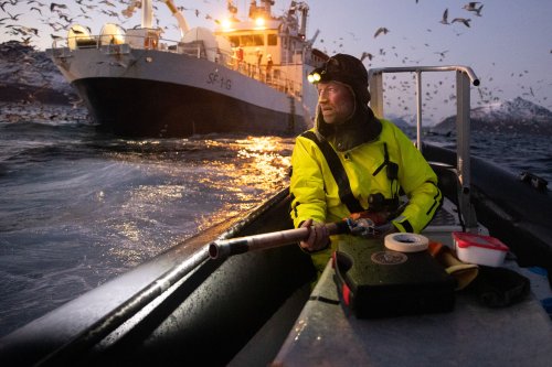 Six striking images showcase scientific fieldwork